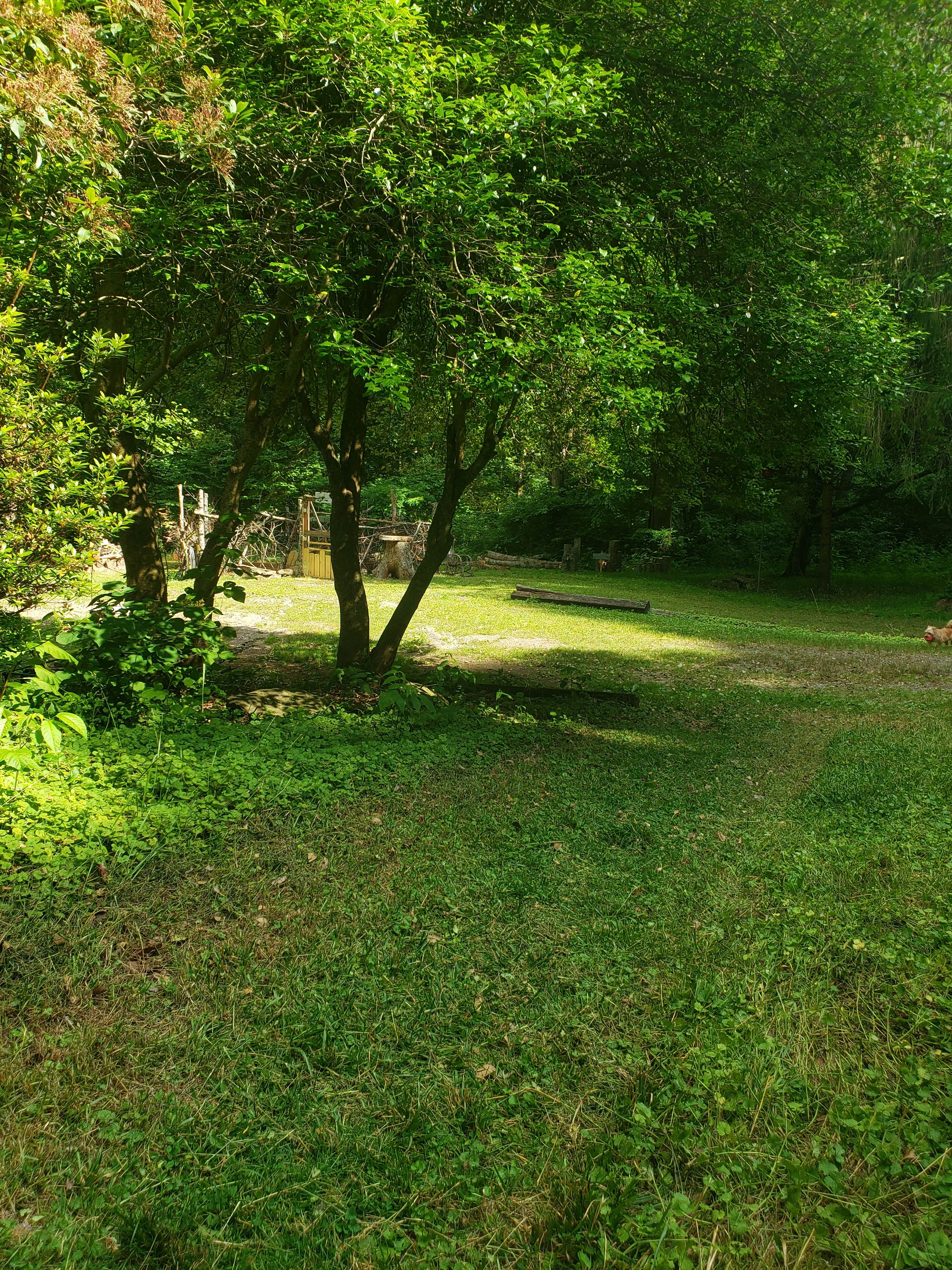Camping near The Swimming Hole at Ox Creek: Howell in the Holler, Swannanoa, North Carolina