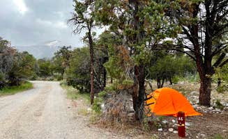 Dare To Everywhere .'s photo at Grey Cliffs Campground — Great Basin National Park near Great Basin National Park