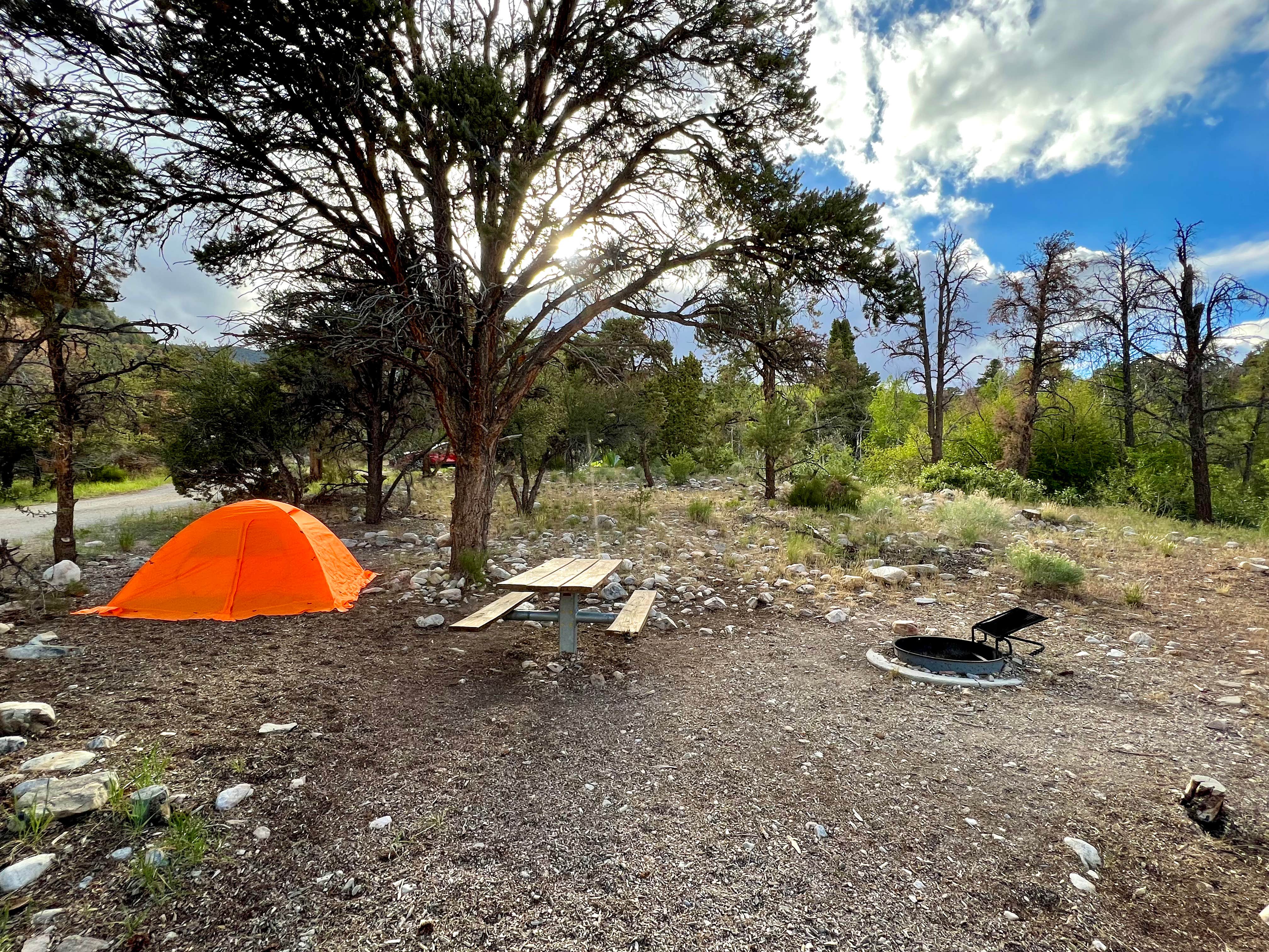 Dare To Everywhere  .'s photo of tent camping at Grey Cliffs Campground — Great Basin National Park near Great Basin National Park
