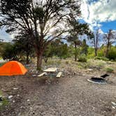 Review photo of Grey Cliffs Campground — Great Basin National Park by Dare To Everywhere  ., June 13, 2022