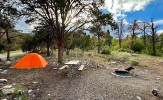 Dare To Everywhere  .'s photo at Grey Cliffs Campground — Great Basin National Park near Great Basin National Park