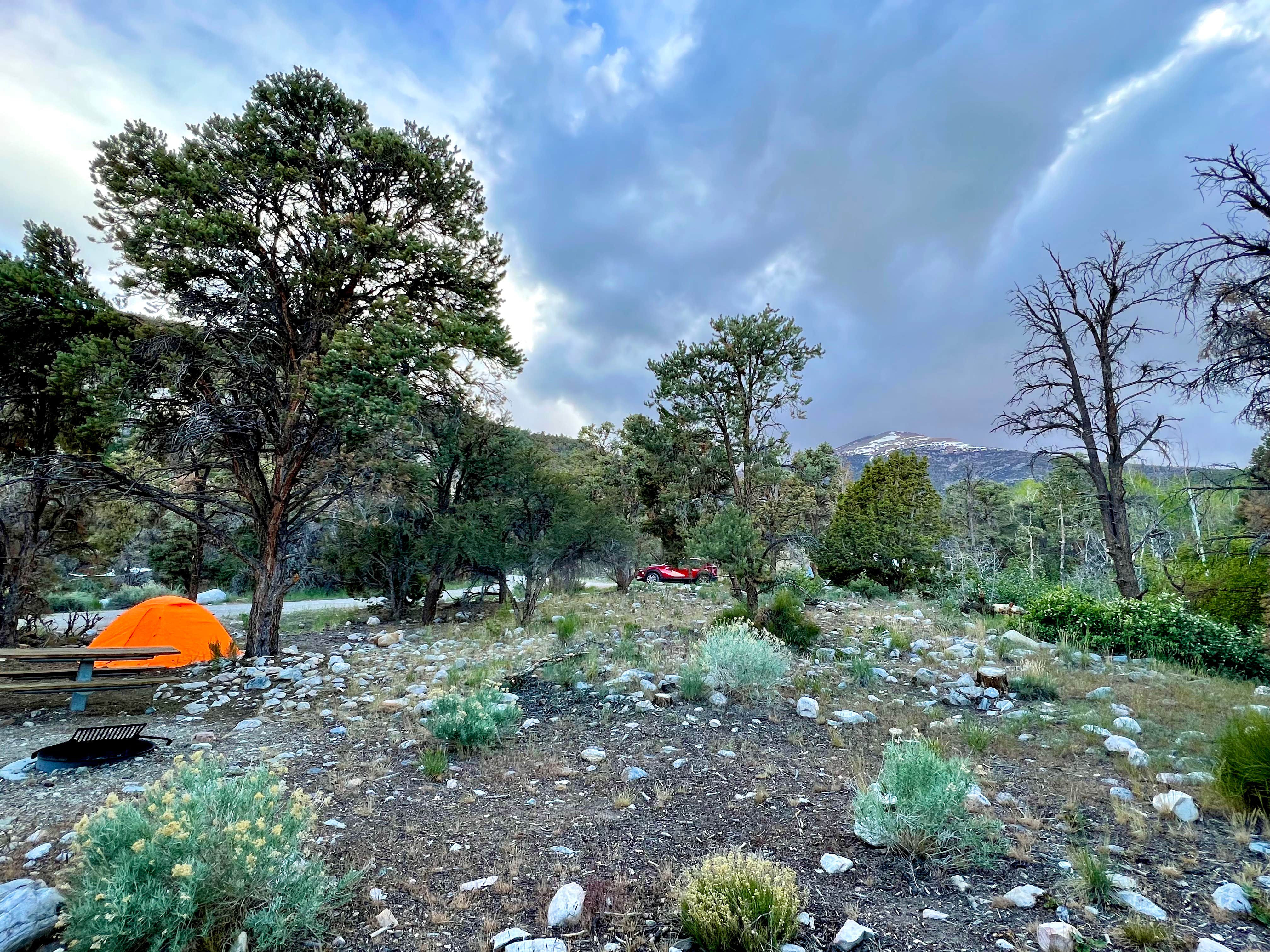 Dare To Everywhere  .'s photo at Grey Cliffs Campground — Great Basin National Park near Garrison, UT