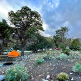 Review photo of Grey Cliffs Campground — Great Basin National Park by Dare To Everywhere  ., June 13, 2022
