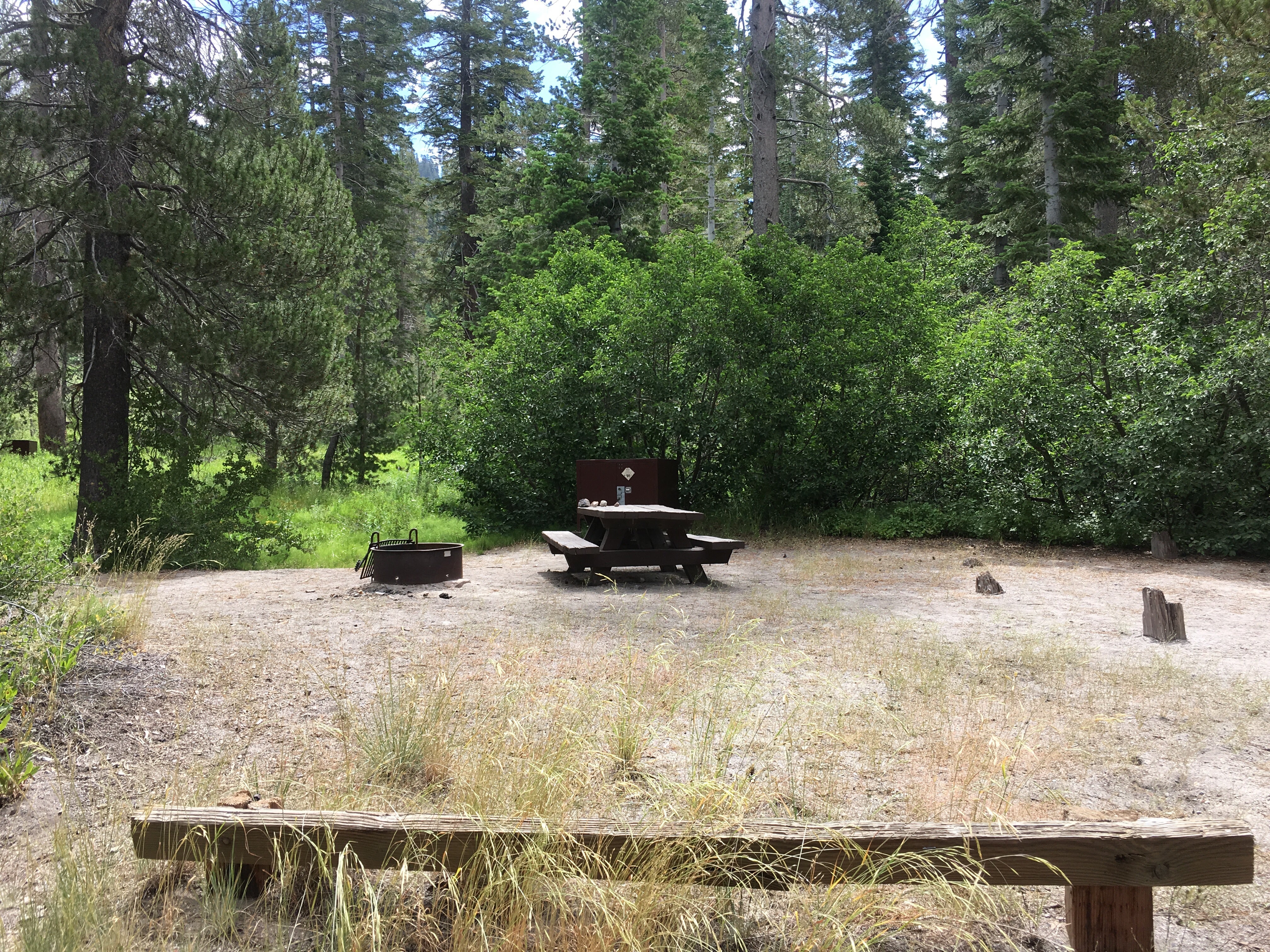 Camper submitted image from Reds Meadow Campground - 4