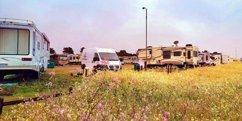 Camper submitted image from Harbor RV Park