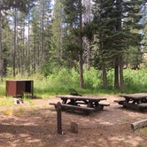 Review photo of Reds Meadow Campground by Erin M., July 16, 2018