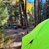 Review photo of Hayden Creek Road by Dare To Everywhere  ., June 13, 2022
