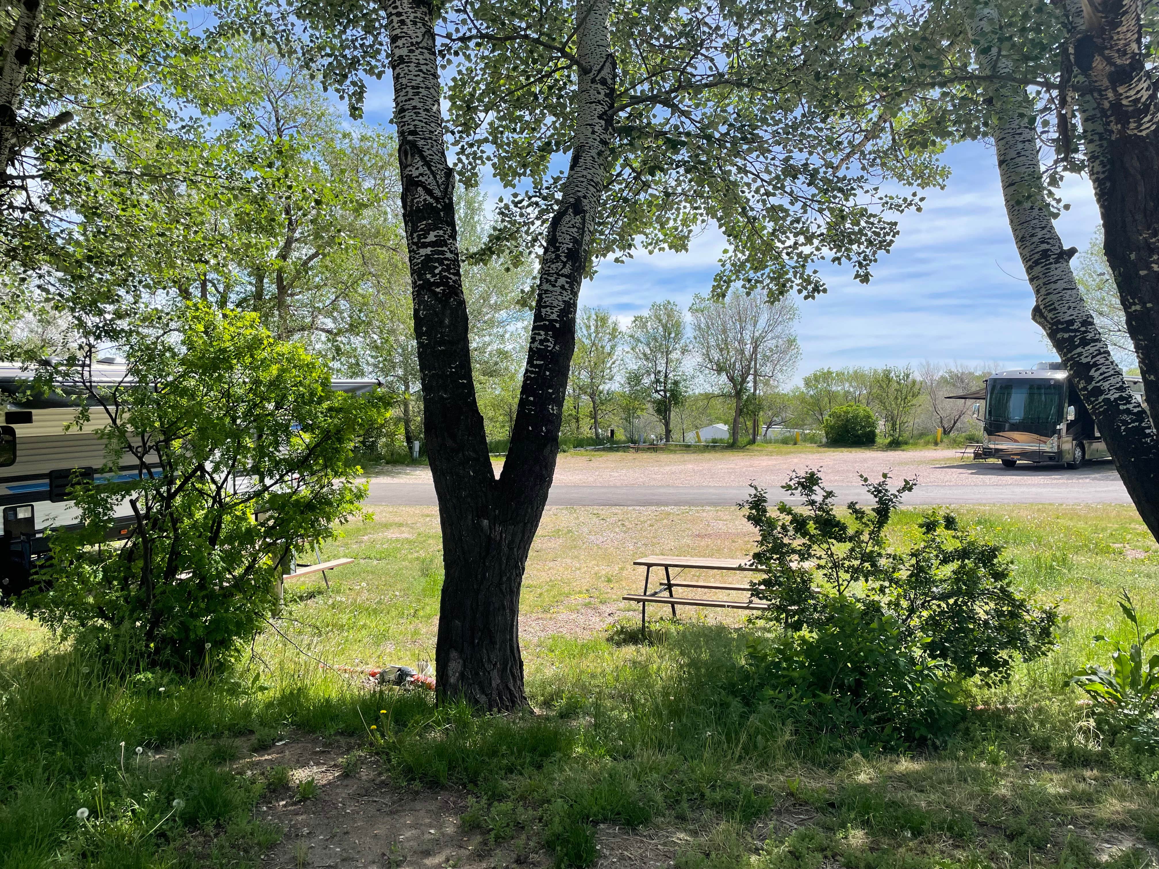 Camper-submitted photo at Greentrees Crazy Woman Campground near Gillette, WY