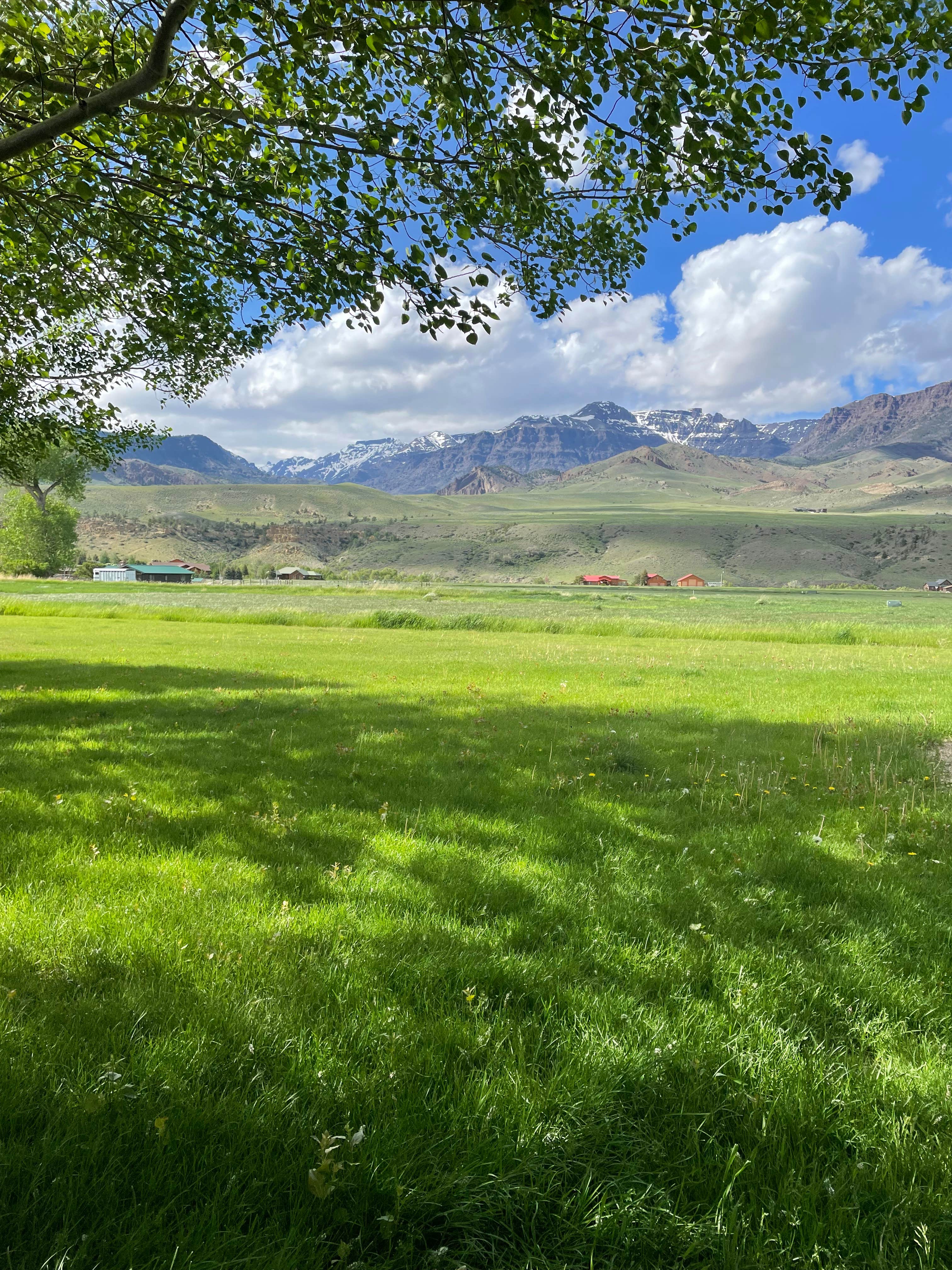 Camping near Bobcat-houlihan Campground: Falcon RV Camp, Wapiti, Wyoming