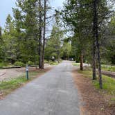 Review photo of Jenny Lake Campground — Grand Teton National Park by Justin P., June 13, 2022