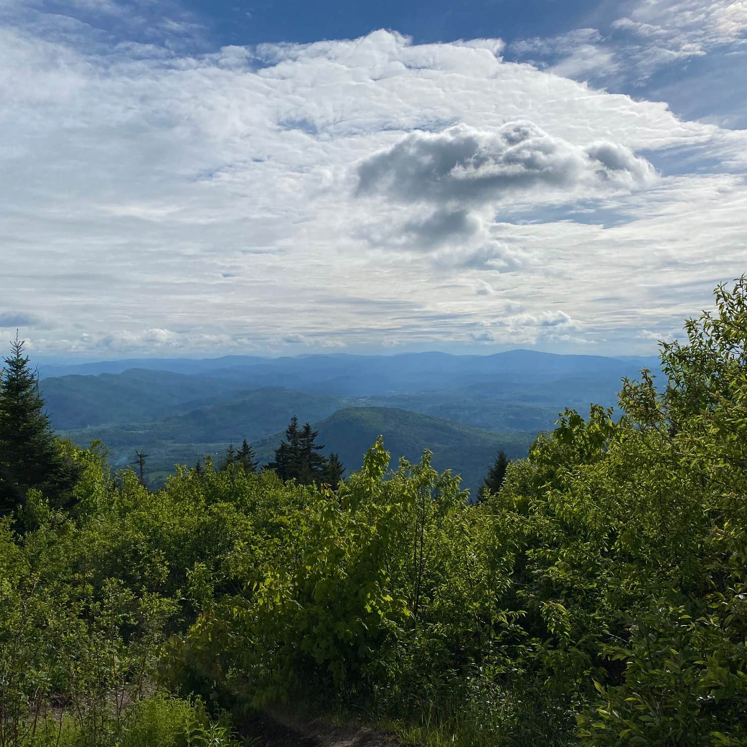 Mount Ascutney State Park Campground | Windsor, VT