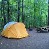 Review photo of Mount Ascutney State Park Campground by Rachel P., June 14, 2022