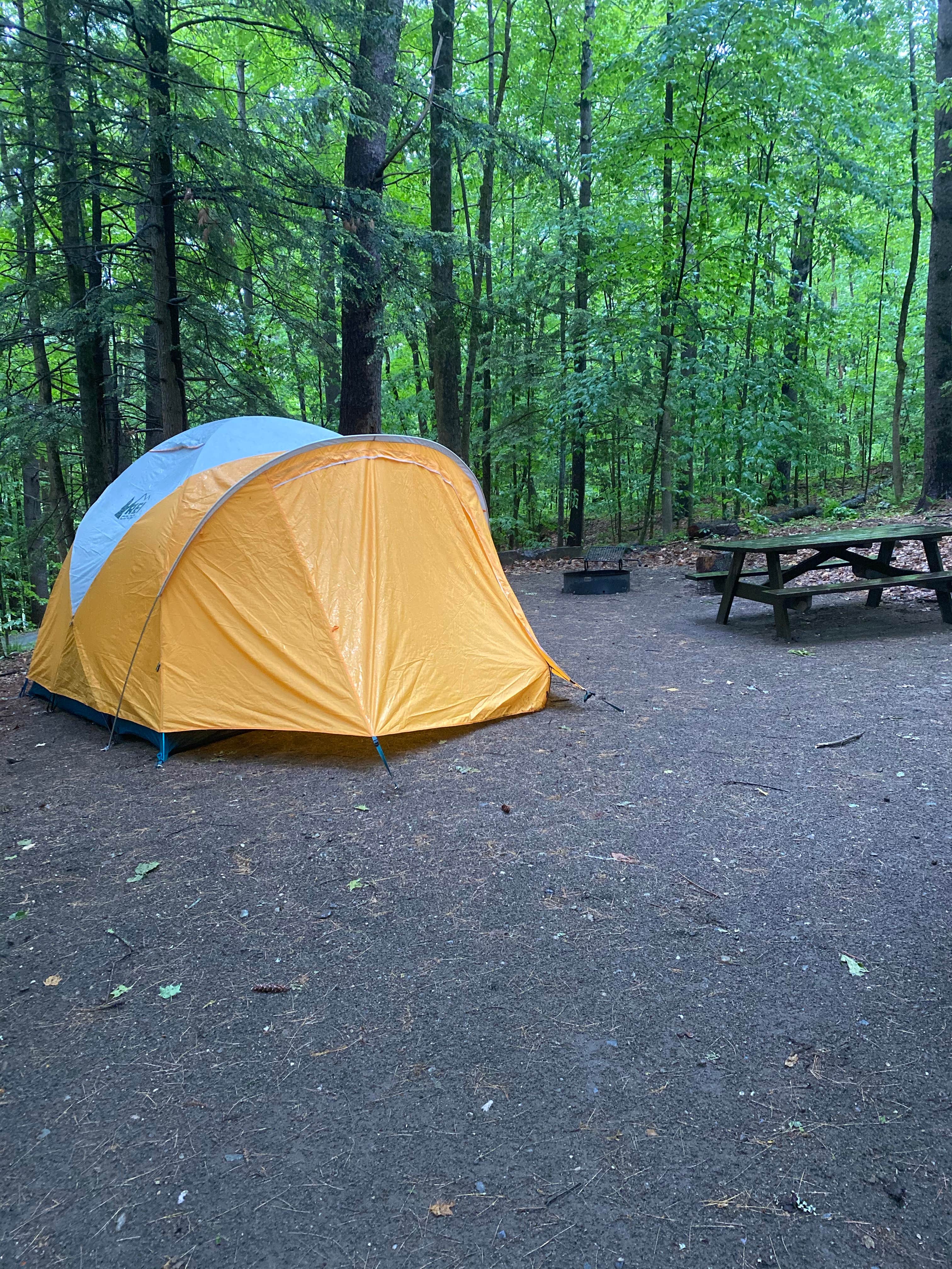 Camper submitted image from Mount Ascutney State Park Campground - 4