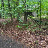 Review photo of Mount Ascutney State Park Campground by Rachel P., June 14, 2022