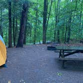 Review photo of Mount Ascutney State Park Campground by Rachel P., June 14, 2022