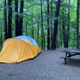Review photo of Mount Ascutney State Park Campground by Rachel P., June 14, 2022
