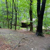 Review photo of Mount Ascutney State Park Campground by Rachel P., June 14, 2022