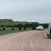 Review photo of Sage Creek Campground by James , June 14, 2022