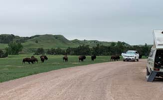 James's photo of camping with a horse at Sage Creek Campground near Badlands National Park
