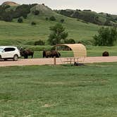 Review photo of Sage Creek Campground by James , June 14, 2022