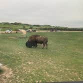 Review photo of Sage Creek Campground by James , June 14, 2022