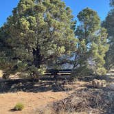 Review photo of Walnut Canyon Rd Dispersed Camping - CLOSED UNTIL 2025 by Cyndee F., June 13, 2022