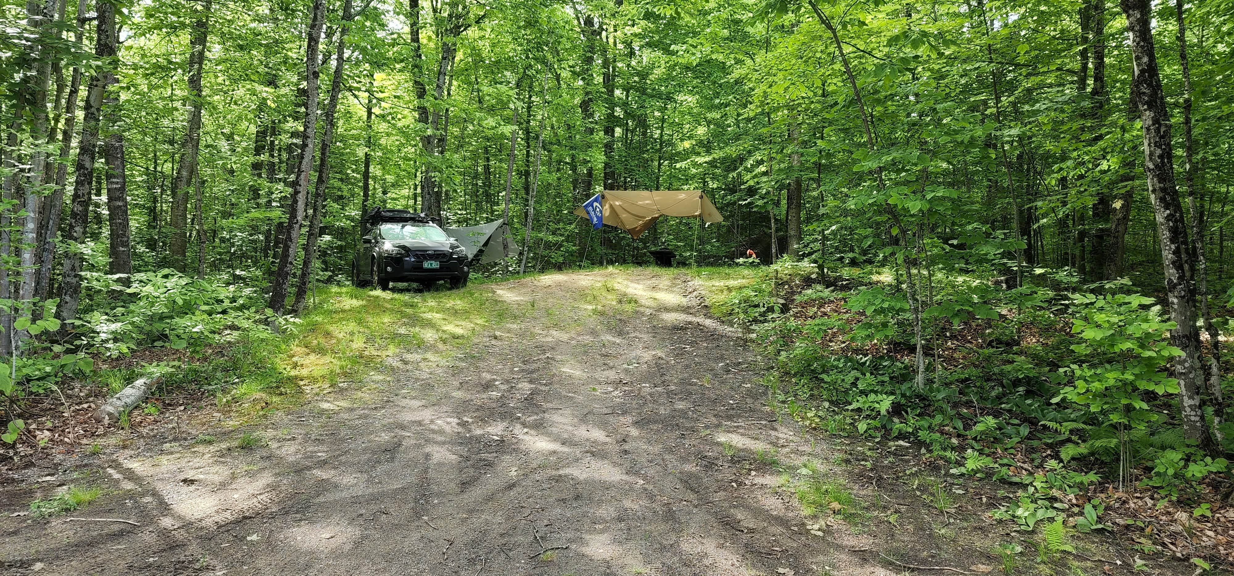 Miccal  M.'s photo at Maidstone State Park — Maidstone State Forest near Lancaster, NH