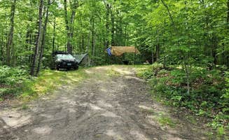 Miccal M.'s photo at Maidstone State Park — Maidstone State Forest in Vermont