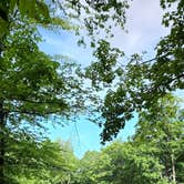 Review photo of Maidstone State Park — Maidstone State Forest by Miccal  M., June 14, 2022