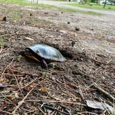 Review photo of Otter Lake Campground & Lodge by Heather , June 10, 2022