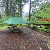 Camp site #1 had trees to use my suspended Tentsile Stingray tent.