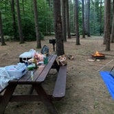 Review photo of Willard Brook State Forest by John , June 13, 2022