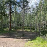 Review photo of Collegiate Peaks by patti S., June 14, 2022