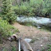 Review photo of Collegiate Peaks by patti S., June 14, 2022