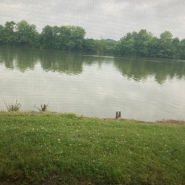 Site 45 directly on the Cumberland River