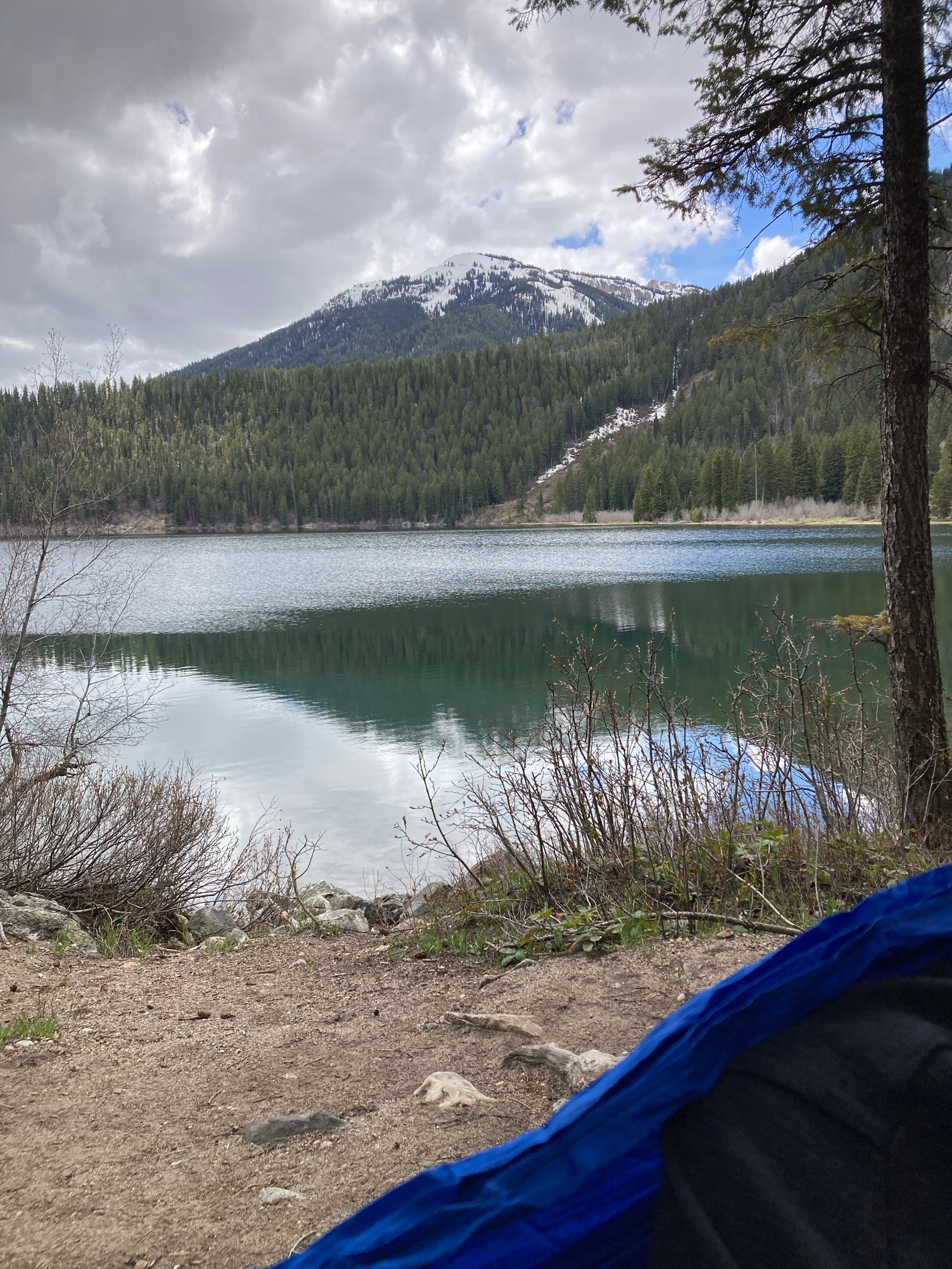 Camper submitted image from Phelps Lake — Grand Teton National Park - 4