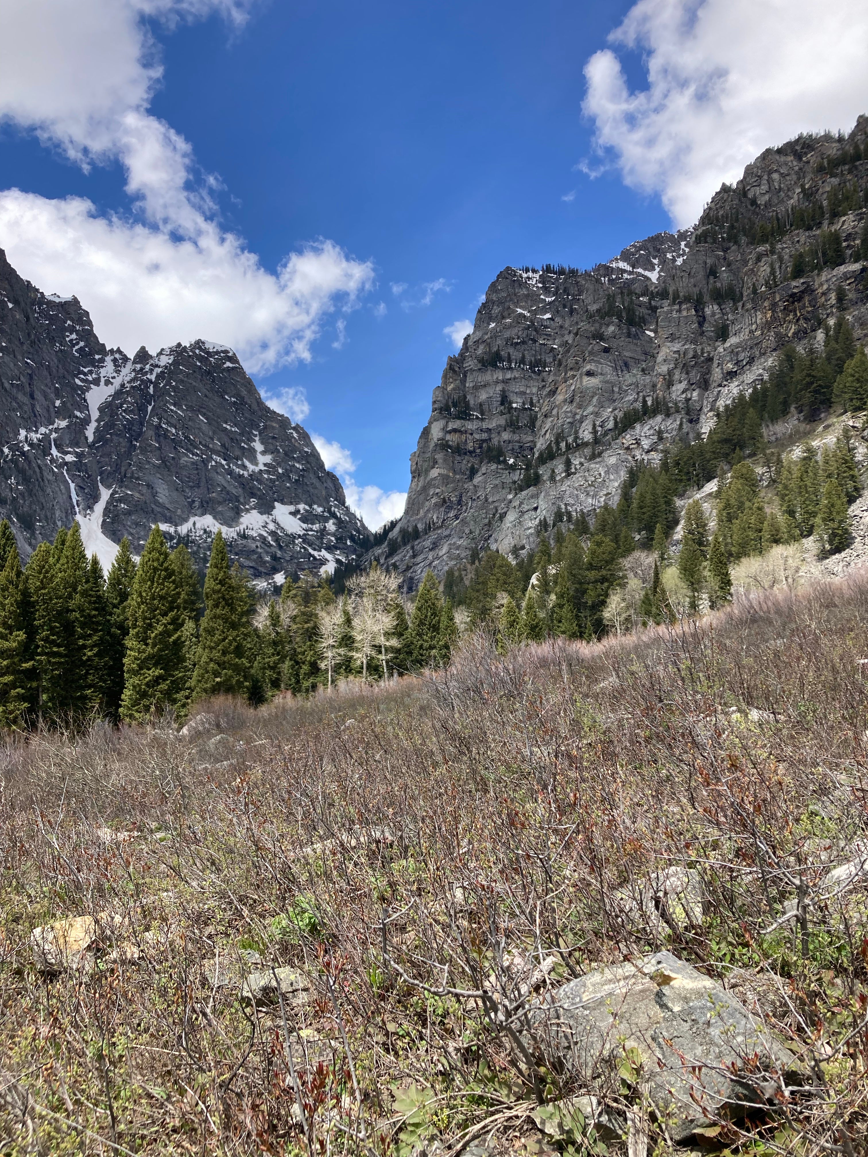 Camper submitted image from Phelps Lake — Grand Teton National Park - 2