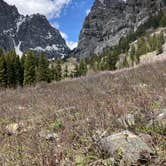 Review photo of Phelps Lake — Grand Teton National Park by Jackson M., June 14, 2022