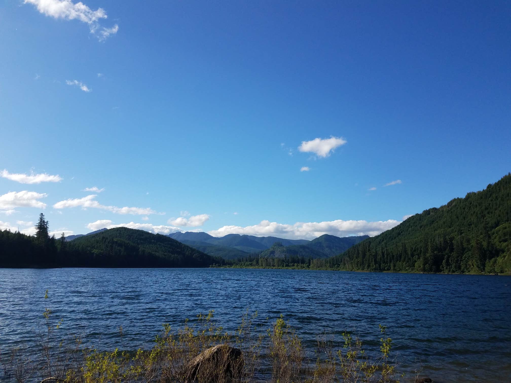 Merrill Lake Campground | The Dyrt