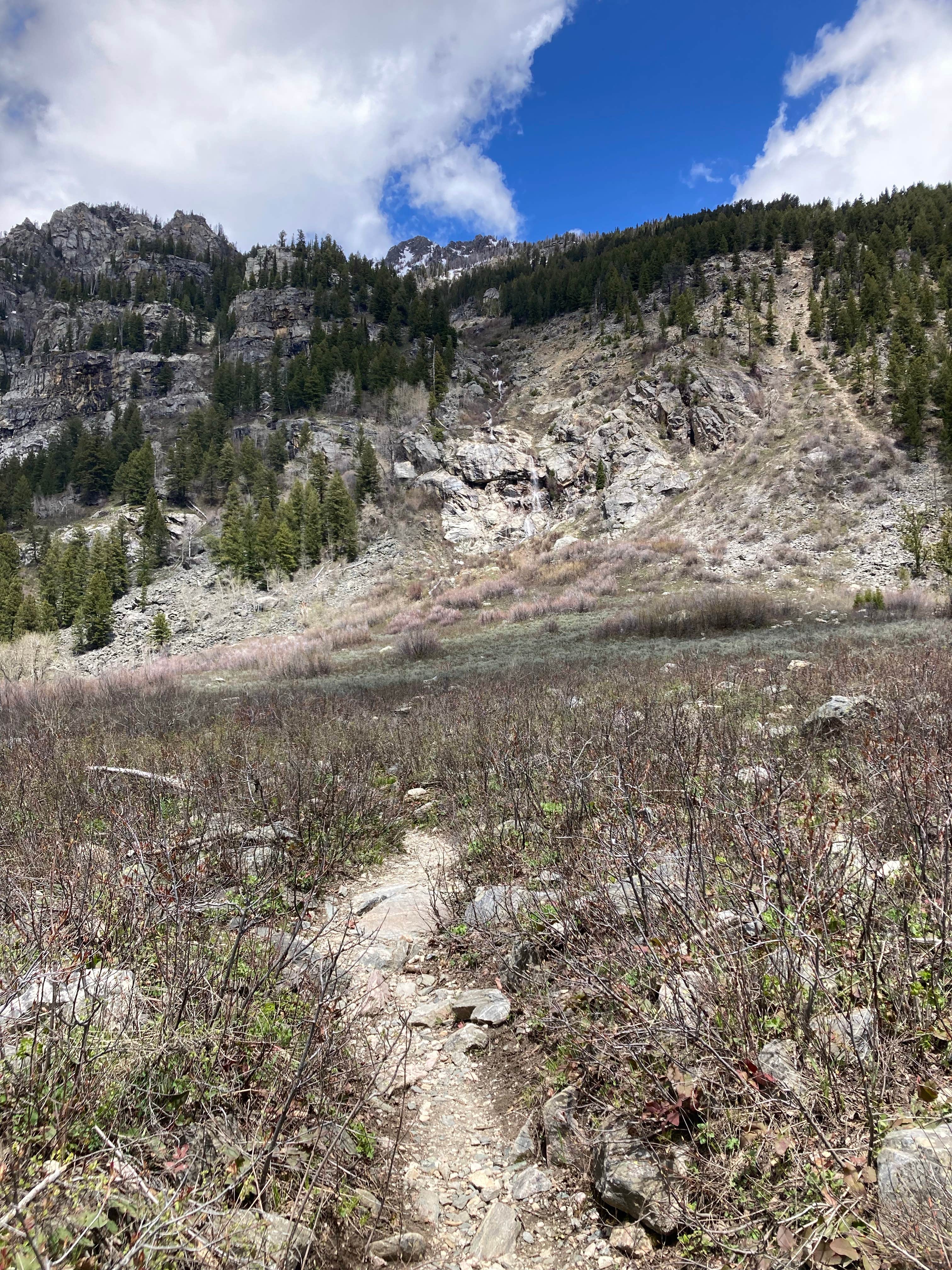 Camper-submitted photo at Phelps Lake — Grand Teton National Park near Wilson, WY