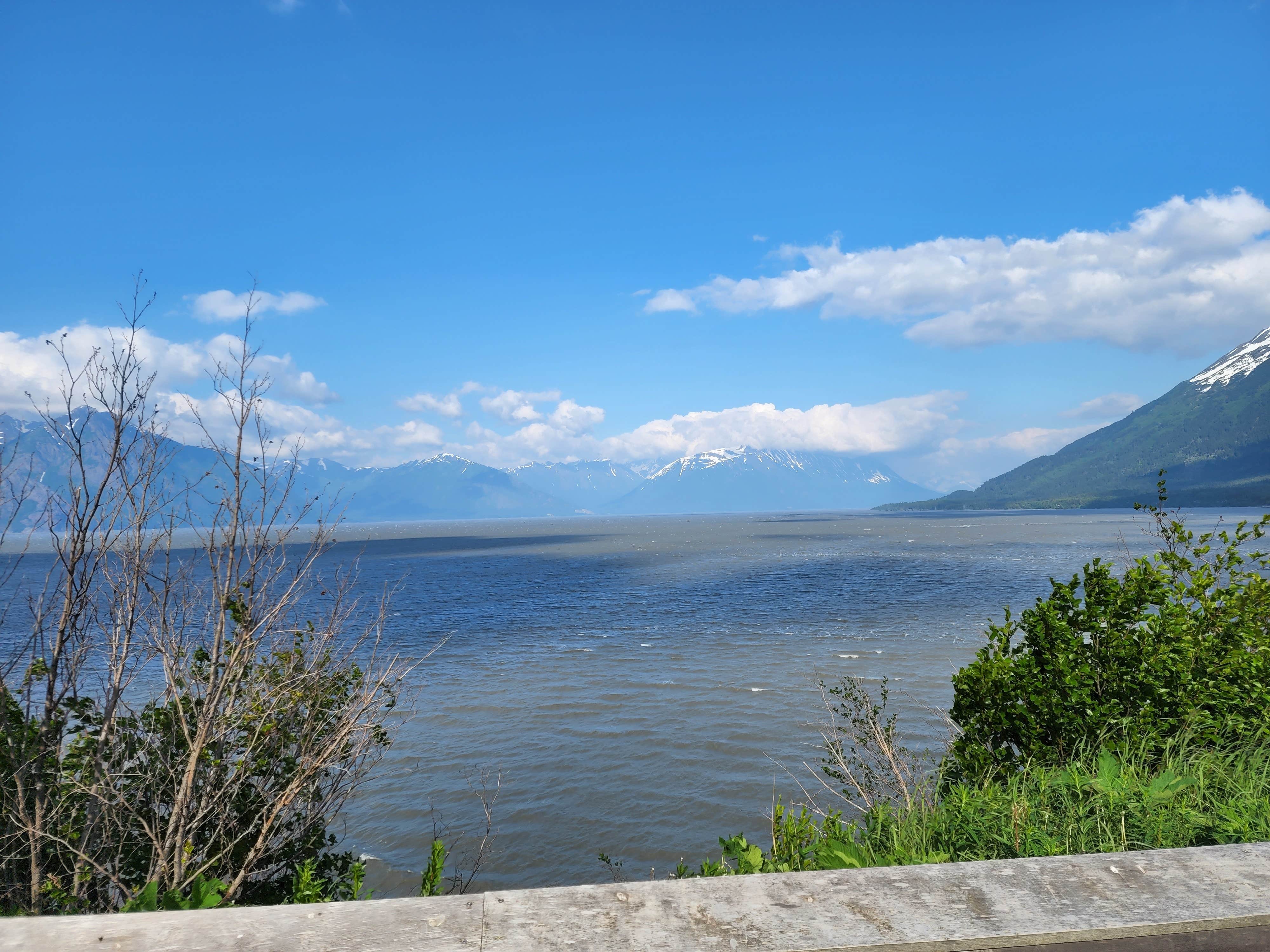 Camper-submitted photo at Porcupine Campground in Alaska