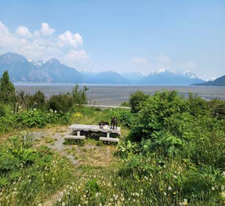 Camper-submitted photo from Matanuska River Park Campground