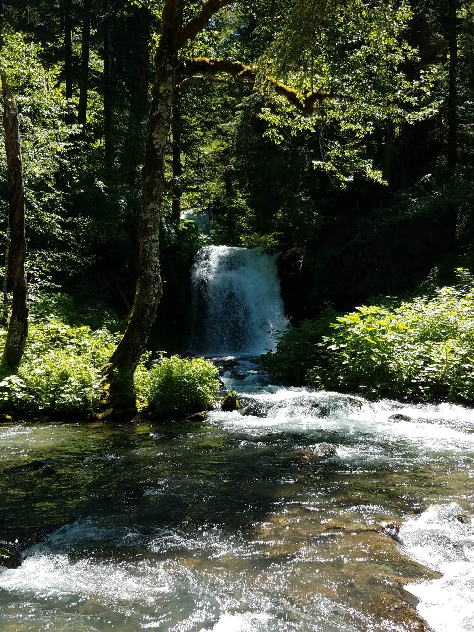 Camper-submitted photo at Twin Falls near Gifford Pinchot National Forest