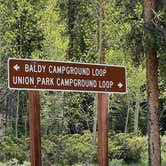 Review photo of Lottis Creek Campground by Carol J., June 14, 2022