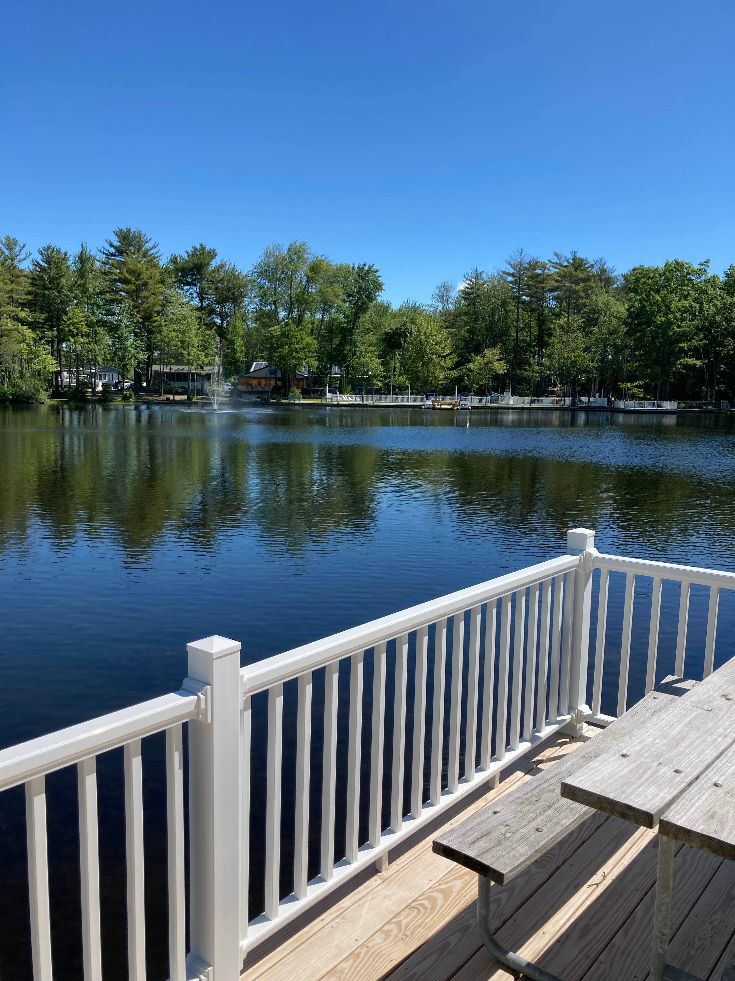 Camper submitted image from Paradise Park Resort - 3