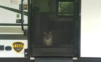 Jennifer K.'s photo of camping with pets at Hearts Content Recreation Area near Rouseville, PA