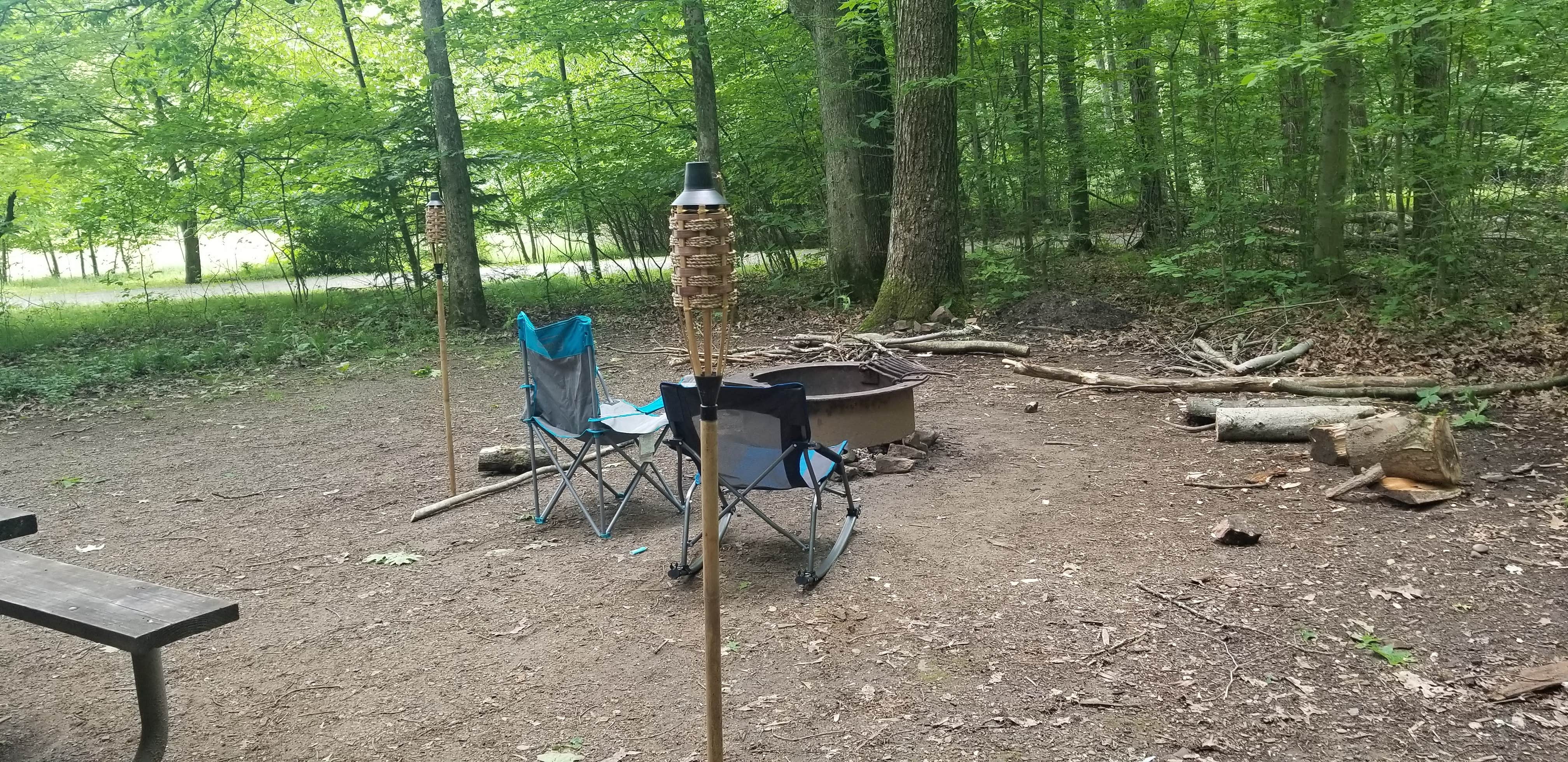 Jennifer K.'s photo at Hearts Content Recreation Area near Allegheny National Forest