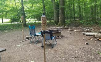 Jennifer K.'s photo at Hearts Content Recreation Area near Allegheny National Forest
