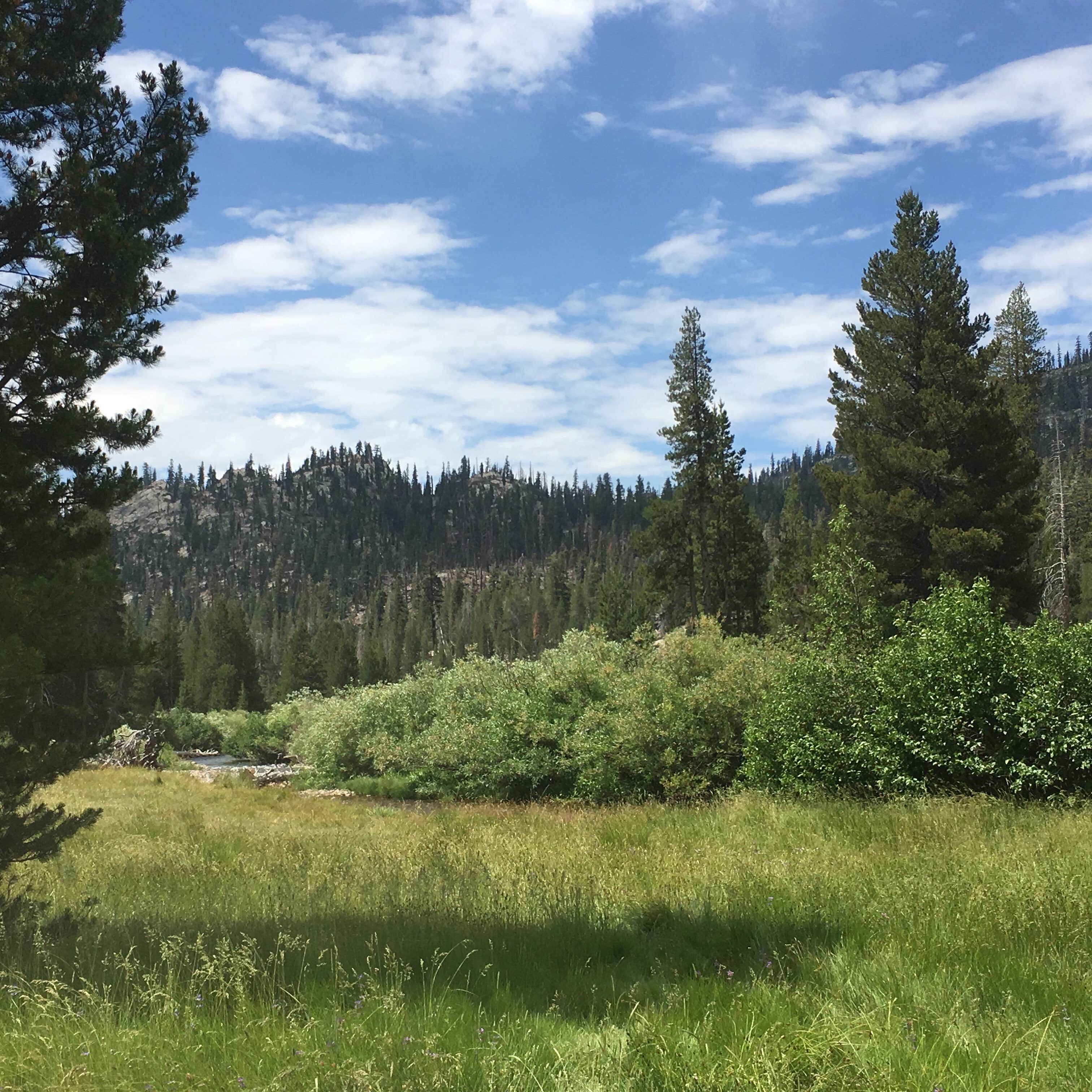 Escape To The High Sierra: Minaret Falls Campground Adventure