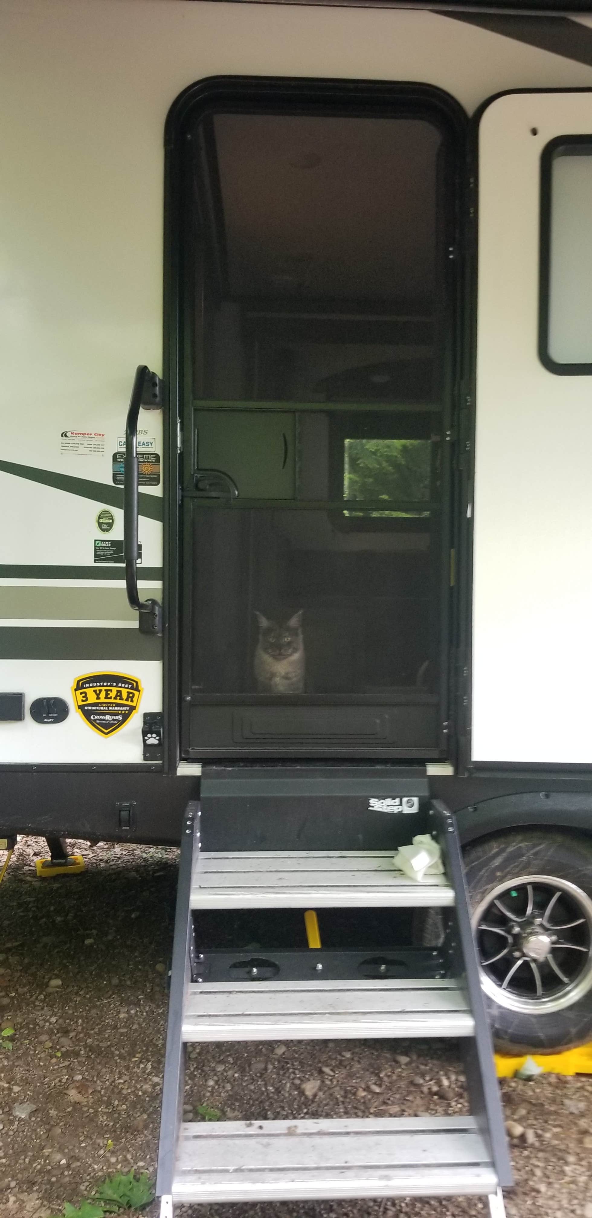Jennifer K.'s photo of camping with pets at Hearts Content Recreation Area near Tionesta, PA